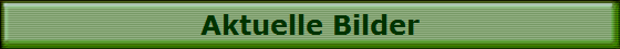 Aktuelle Bilder