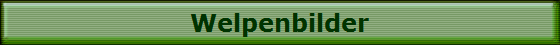 Welpenbilder