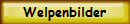 Welpenbilder