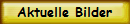 Aktuelle Bilder