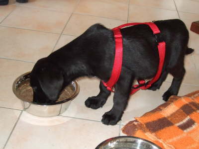 2008_09_021